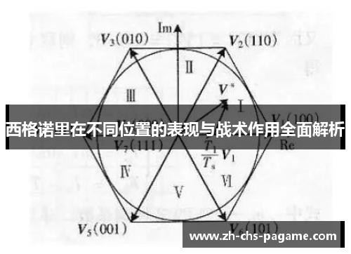 西格诺里在不同位置的表现与战术作用全面解析 西格诺里在不同位置的表现与战术作用全面解析