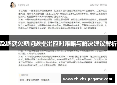赵鹏就欠薪问题提出应对策略与解决建议解析
