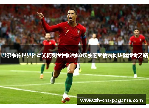 巴尔韦德世界杯高光时刻全回顾绿茵铁腰的燃情瞬间铸就传奇之路