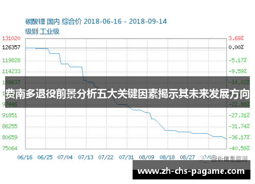 费南多退役前景分析五大关键因素揭示其未来发展方向 费南多退役前景分析五大关键因素揭示其未来发展方向
